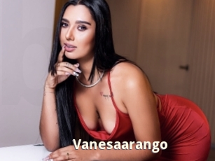 vanesaarango Bigtitinvasion