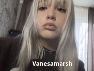 Vanesamarsh