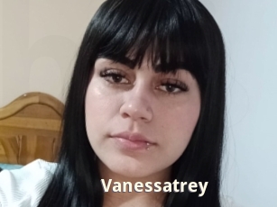 vanessatrey Bigtitinvasion