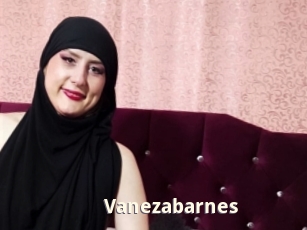 Vanezabarnes