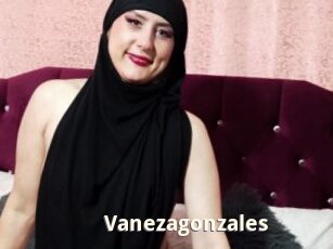 Vanezagonzales