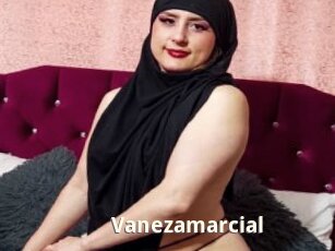 Vanezamarcial