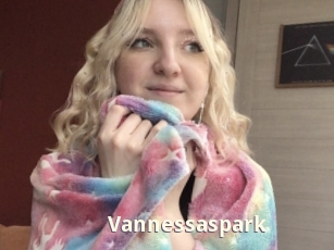 Vannessaspark