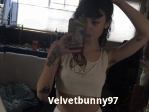 Velvetbunny97