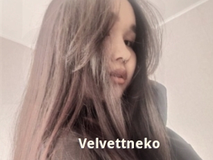 Velvettneko