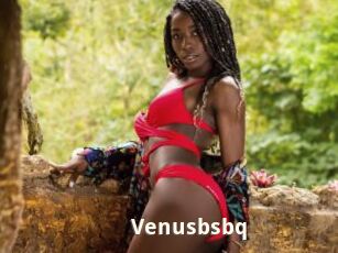 Venusbsbq