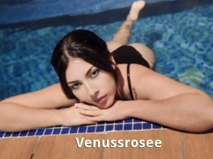 Venussrosee