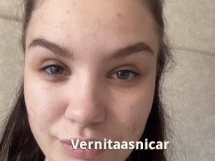 Vernitaasnicar