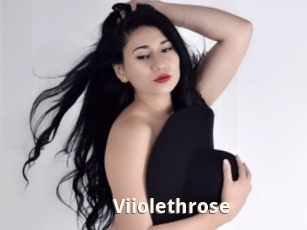 Viiolethrose