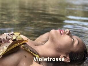 Violetrosse