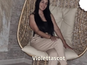 Violettascot