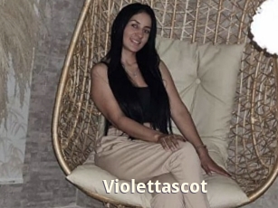 Violettascot
