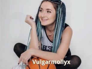 Vulgarmollyx