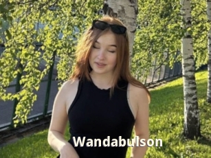 Wandabulson
