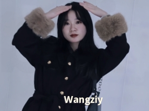 Wangziy