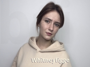 Whitneyfigge