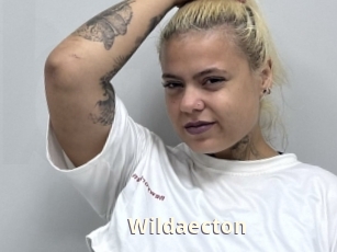 Wildaecton