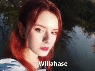 Willahase