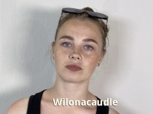 Wilonacaudle