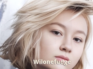 Wilonefudge