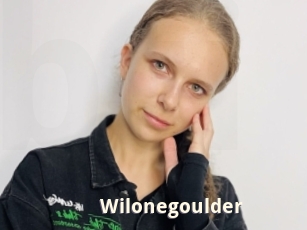 Wilonegoulder