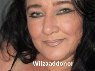 wilzaaddonor Bigtitinvasion