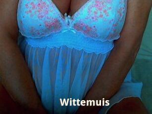 Wittemuis