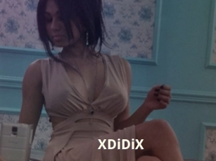 XDiDiX