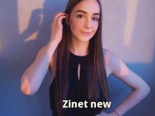 Zinet_new