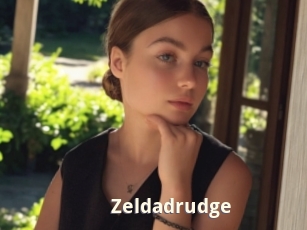 Zeldadrudge