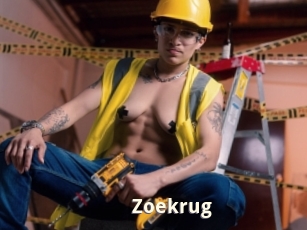 Zoekrug